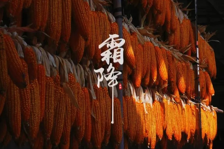 u=1472320048,3003998069&fm=253&fmt=auto&app=138&f=JPEG.webp.jpg