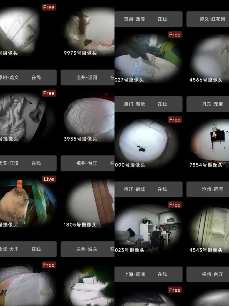 图片1.png