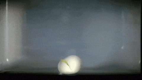 640 (1).gif